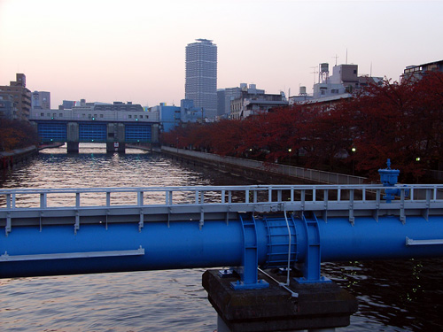c0071866_0181779.jpg