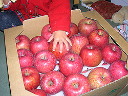 e0040266_16312210.jpg