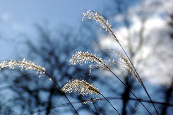 c0026870_1493782.jpg
