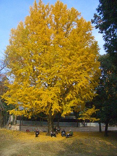 b0010882_23441214.jpg