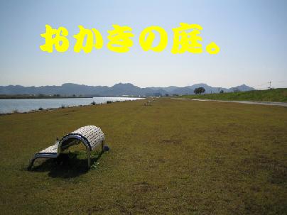 c0062287_20281247.jpg