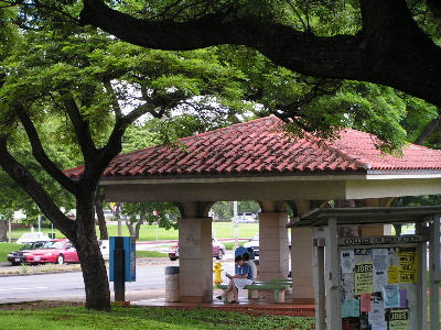 d0032693_16364447.jpg