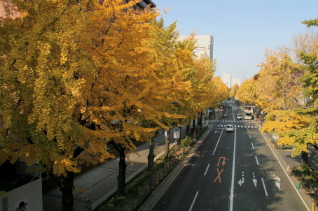 c0025895_0205899.jpg