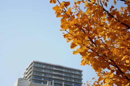 c0025895_021424.jpg