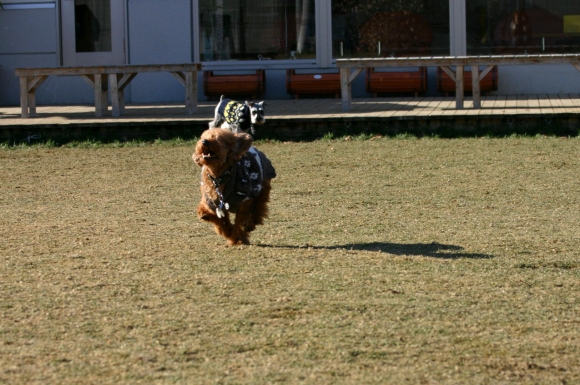 f0001895_18595560.jpg