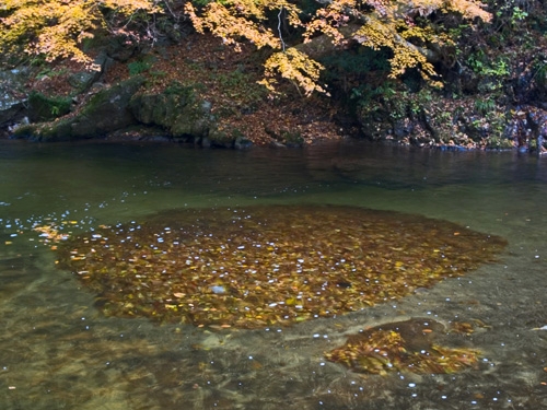 c0008502_16251956.jpg