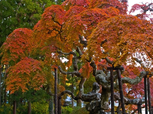 c0008502_16283995.jpg