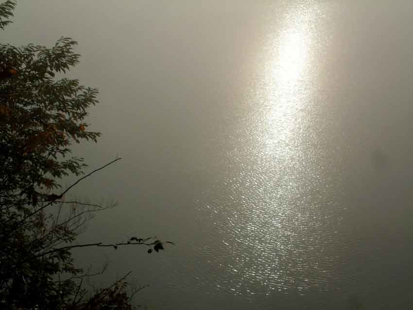 e0001110_6221571.jpg