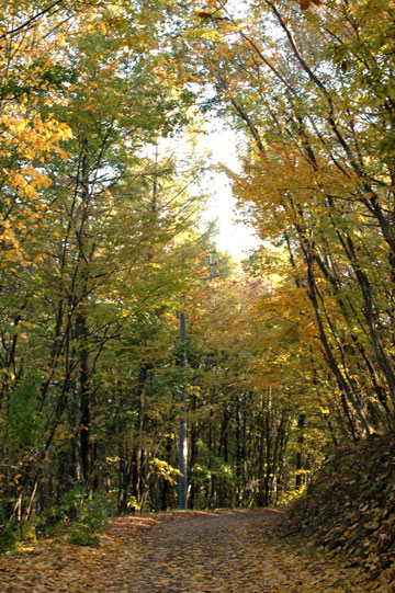 f0009722_833949.jpg