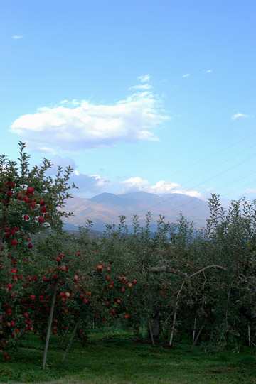f0009722_83610.jpg