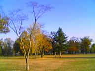 a0043326_2125995.jpg