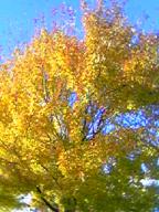 a0043326_2131934.jpg