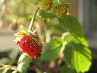 a0043326_214241.jpg