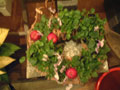 e0087827_18363439.jpg