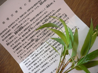 b0044528_2055280.jpg