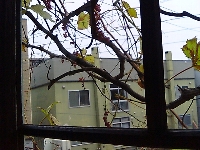 e0064128_03007.jpg