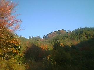 e0041130_16432222.jpg
