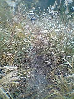 e0041130_16435580.jpg