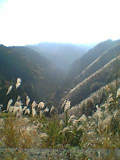 e0041130_16444925.jpg