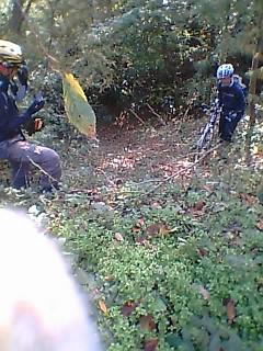 e0041130_16455970.jpg