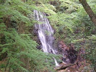 e0041130_1647261.jpg