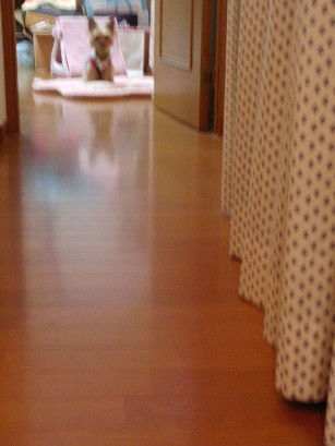 f0002833_23245739.jpg