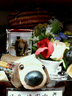 a0040736_352183.jpg