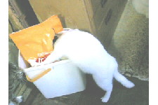 c0011446_2155447.jpg