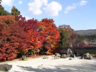 b0054956_2227211.jpg