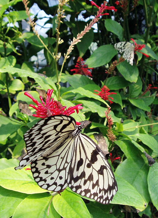 e0064158_23472472.jpg