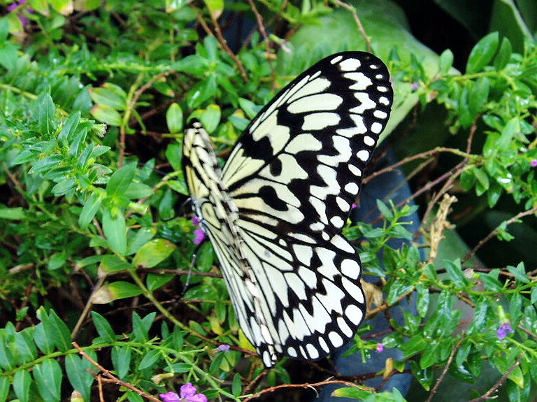 e0064158_23475854.jpg