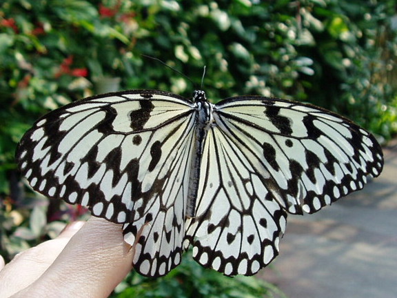 e0064158_23514122.jpg