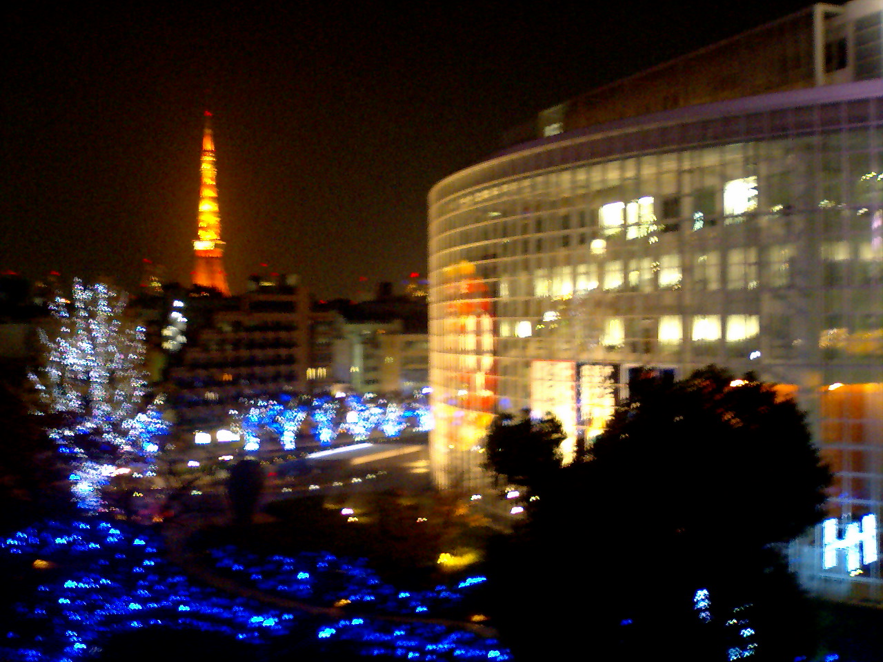 a0049167_16242770.jpg