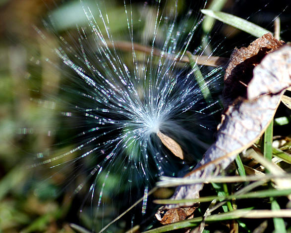 c0026870_15273074.jpg