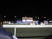 b0043974_3563267.jpg