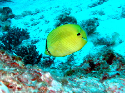 a0002177_2359559.jpg