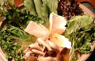 c0059278_15198.jpg