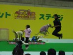 c0008281_048453.jpg