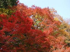 c0073987_22312049.jpg