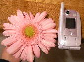 e0025190_16991.jpg