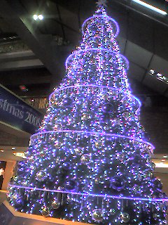 c0008293_2215313.jpg