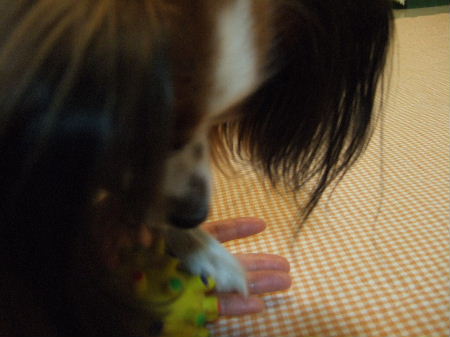 c0044199_2334423.jpg