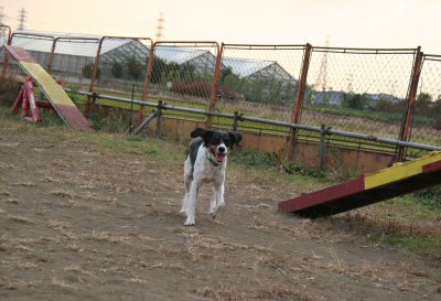 c0050400_2441274.jpg