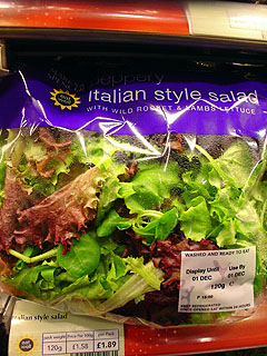 b0054709_1284668.jpg
