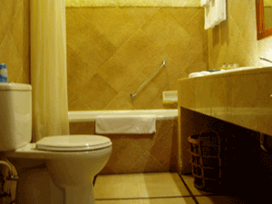 d0038319_9164076.gif