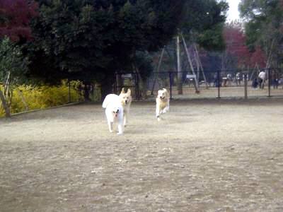 e0006428_3525979.jpg