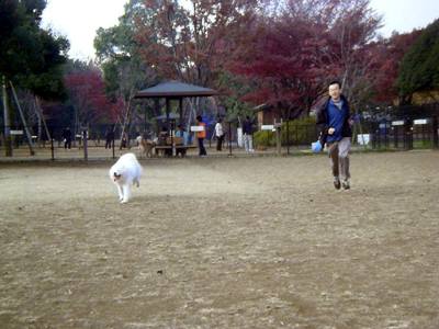e0006428_418179.jpg