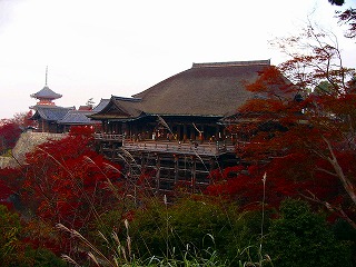 b0009029_2241770.jpg