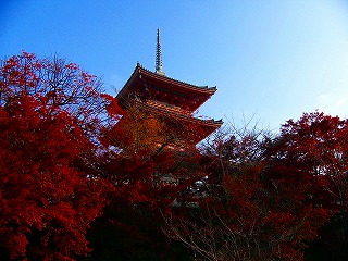 b0009029_224272.jpg