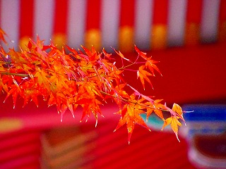 b0009029_224453.jpg